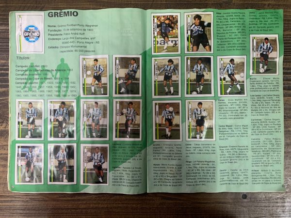 Álbum de figurinhas Campeonato Brasileiro 1994 - Imagem 2