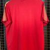 Camisa Espanha Adidas 2010 comemorativa - Image 2