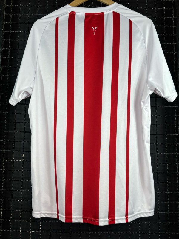 Camisa Chivas Puma 2018 - Image 2