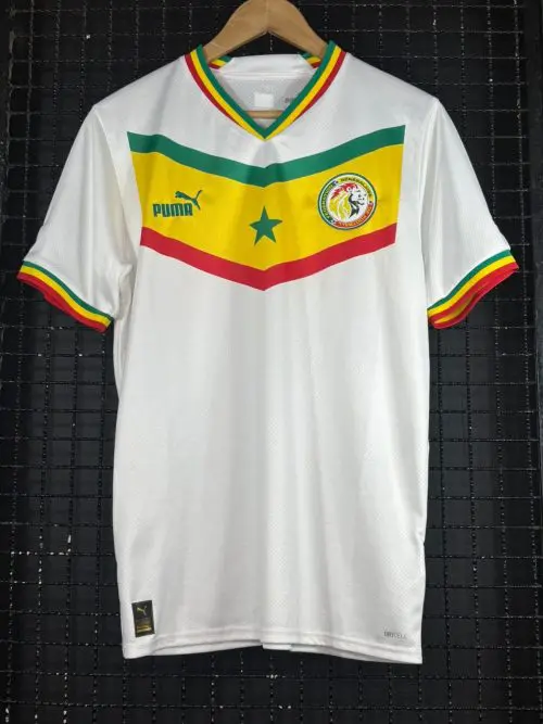 Camisa Senegal Puma 2022